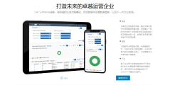 SAP的功能截图