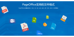 PageOffice的功能截图