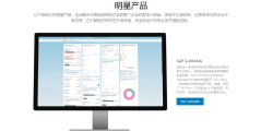 SAP-CRM的功能截图