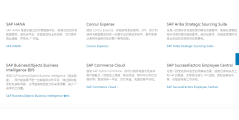 SAP-CRM的功能截图