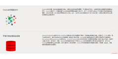 Oracle BIEE的功能截图
