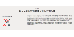 Oracle BIEE的功能截图