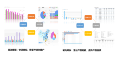 SIE BI大数据的功能截图