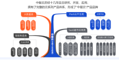 中服云的功能截图